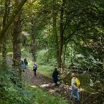 Mill Race At Broughton Sanctuary Skipton