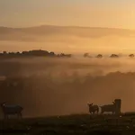 Mill Race At Broughton Sanctuary * Skipton