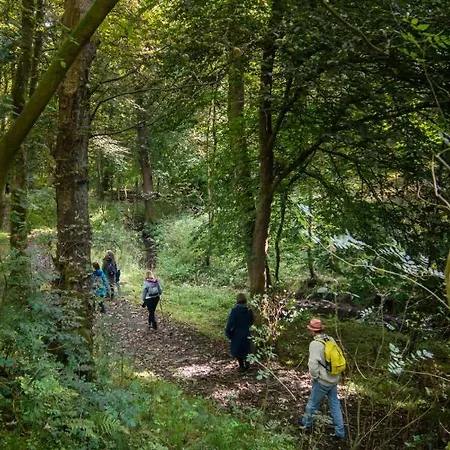 Mill Race At Broughton Sanctuary Skipton