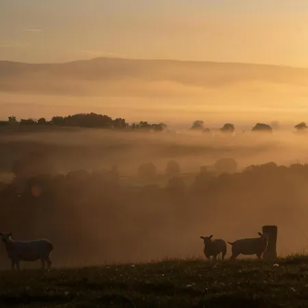 Mill Race At Broughton Sanctuary * Skipton