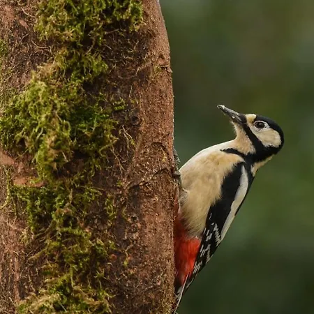 Mill Race At Broughton Sanctuary Tatil Evi Skipton