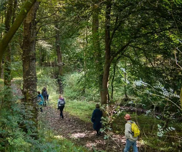 Mill Race At Broughton Sanctuary 斯基普顿
