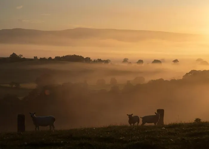 Mill Race At Broughton Sanctuary * 斯基普顿