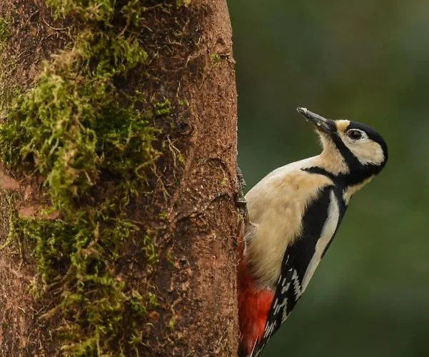 Mill Race At Broughton Sanctuary 度假居 斯基普顿